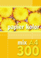 Papier ksero A4 80g 300ark. mix 5 kolorów